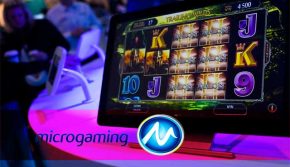 €6,9 млн. в Microgaming