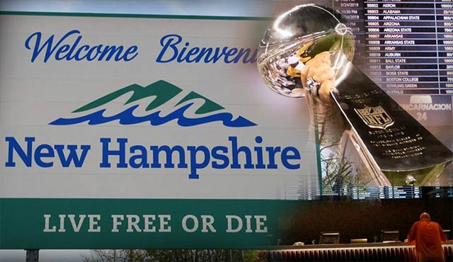 Ню Хемпшир залози
